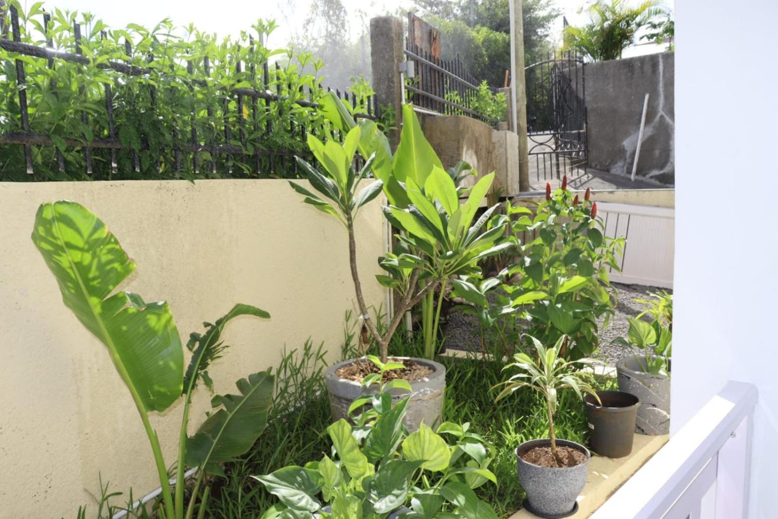 Garden Suite 托舵道斯 外观 照片